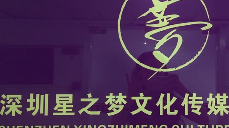 MG动画与三维动画：视觉效果背后的差异解析**