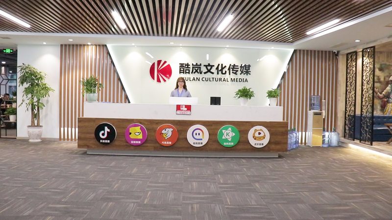 小标题：宣传片的意义