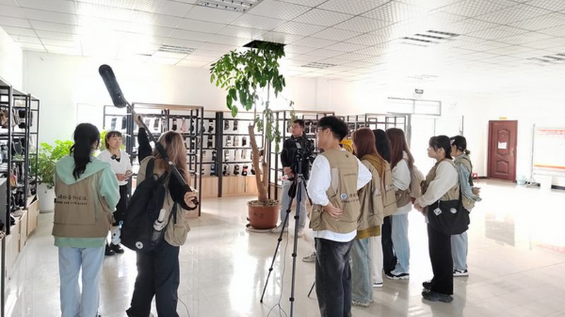 免费MG动画素材下载全攻略，轻松开启创意之旅